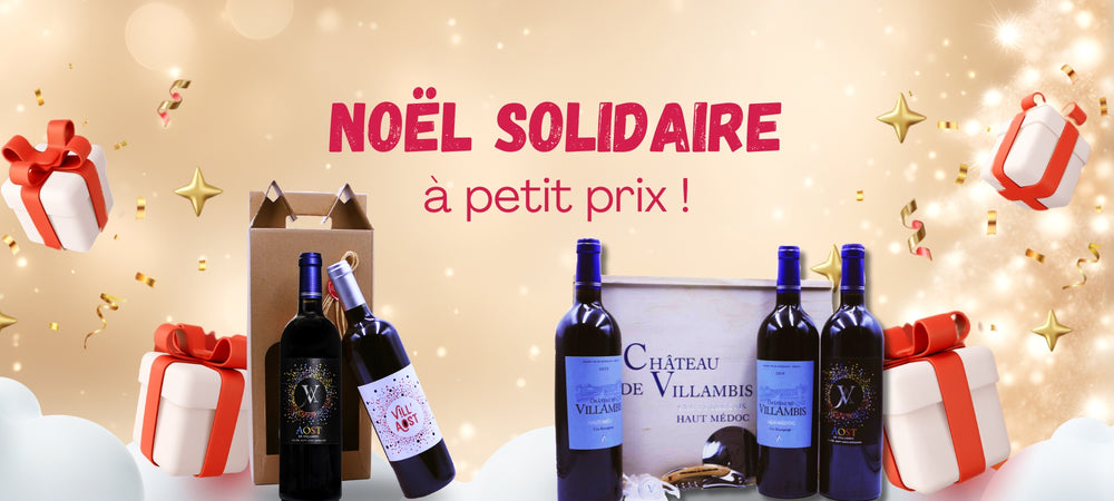 Château de Villambis