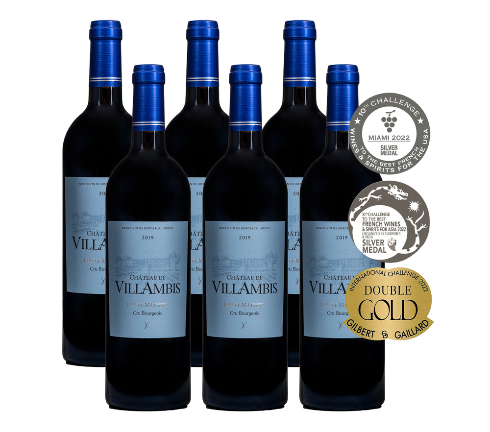 Château de Villambis 2019 (carton de 6 bouteilles)