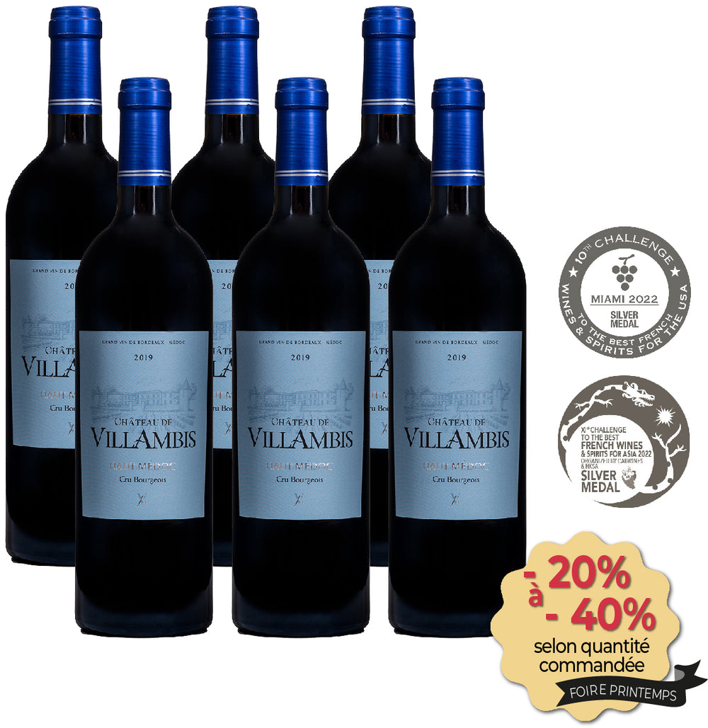 Château de Villambis 2019 (carton de 6 bouteilles)