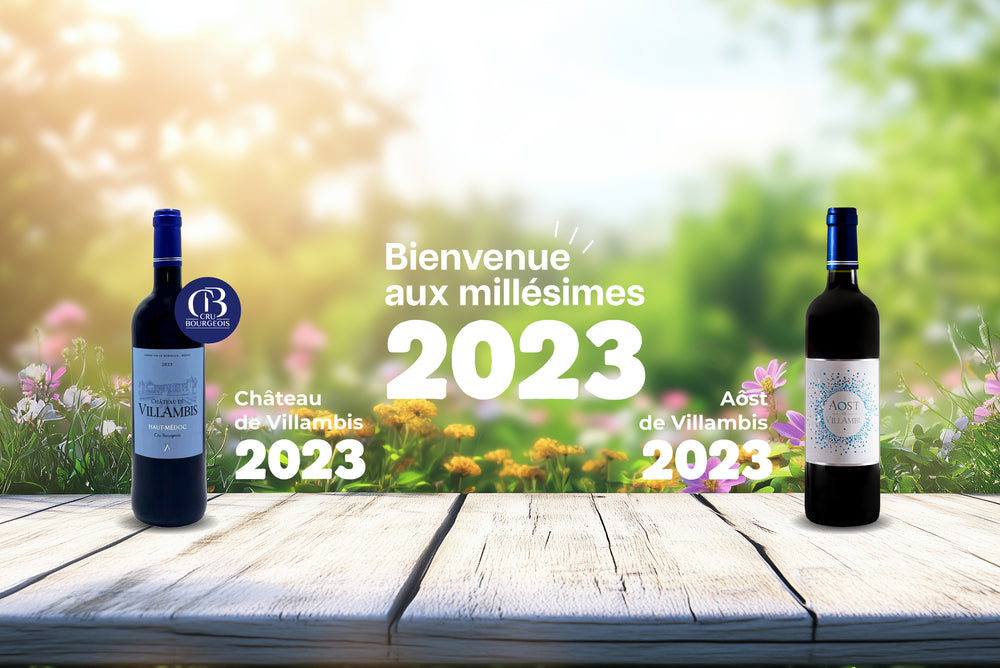 Château de Villambis - Vin Haut Médoc et Cru Bourgeois